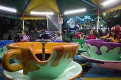 DOMINGO-100-1036x691-1