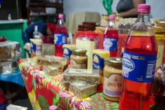 Festa-Nordestina-2023-2-2