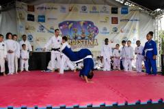 Festa-Nordestina-2023-7-4