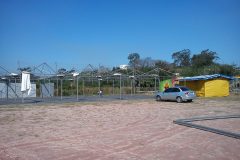 DSC04180-scaled